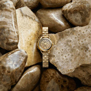 Shinola Runabout 25mm Petoskey Stone SS