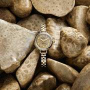 Shinola Birdy 34mm Petoskey Stone SS