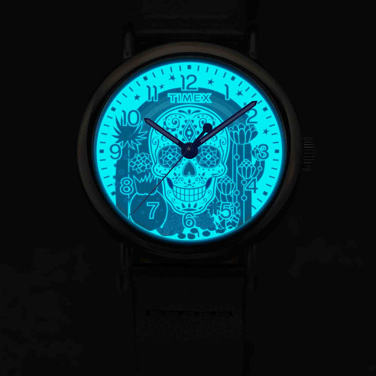 Timex Weekender 40mm Day of the Dead