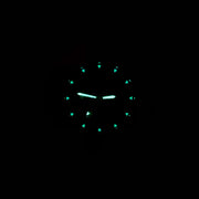 Bertucci A2-S Vintage