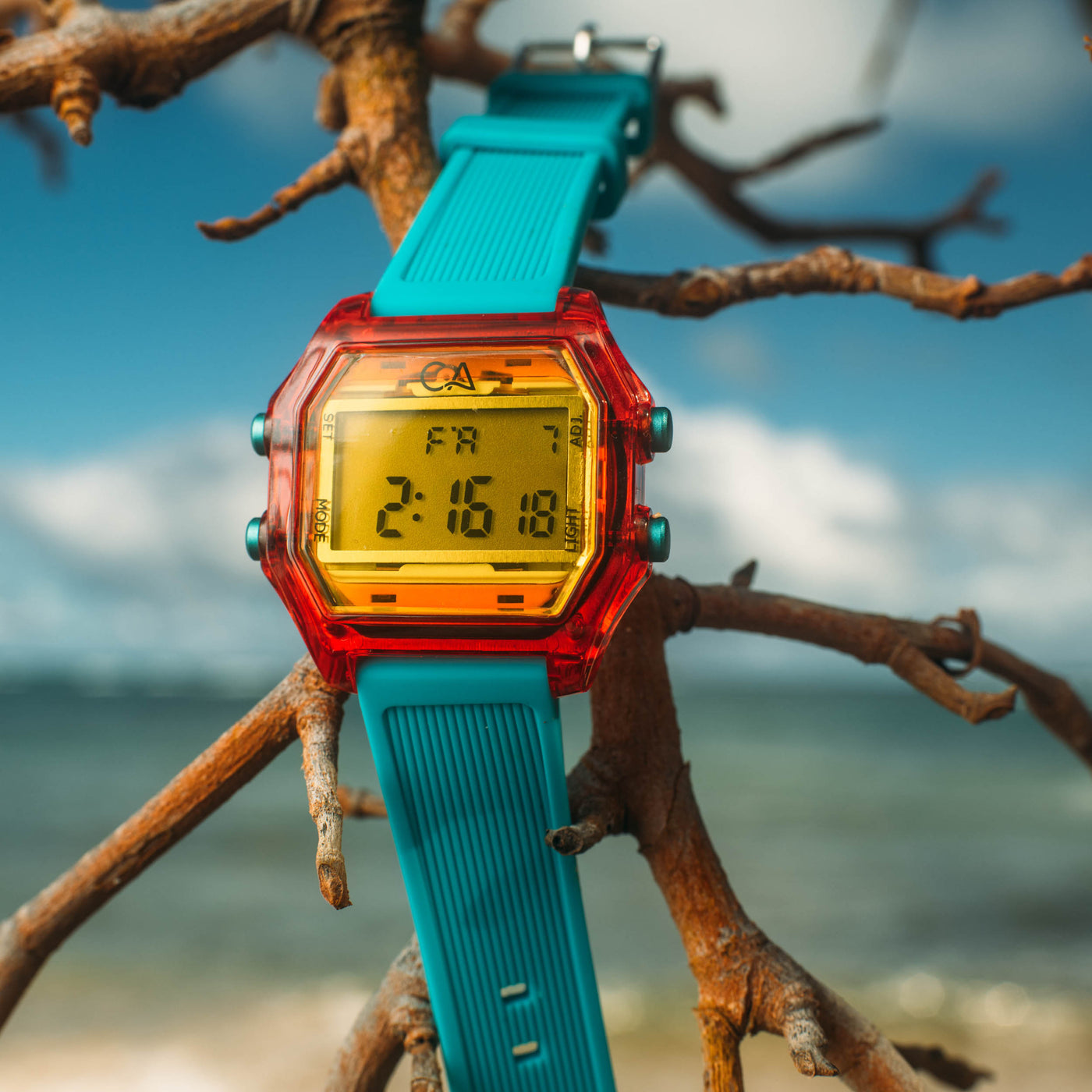 CALIFORNIA VENICE BEACH RED TEAL YELLOW WATCH IN A TREE