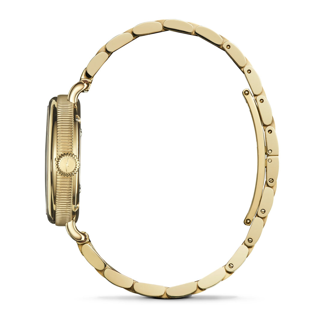 Shinola The Birdy 34mm Red Jasper Stone | Watches.com